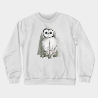 Watercolor baby owl Crewneck Sweatshirt